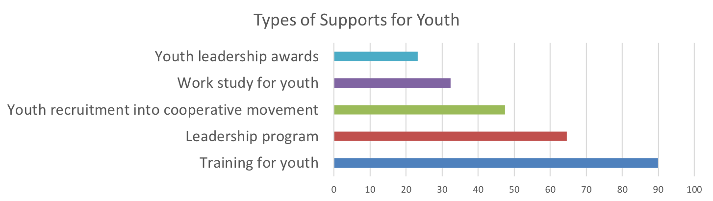 Types of support for youth